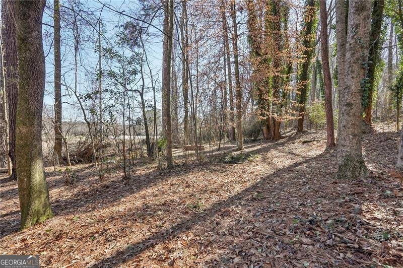 317 New Foal Lane Kennesaw - Photo 51