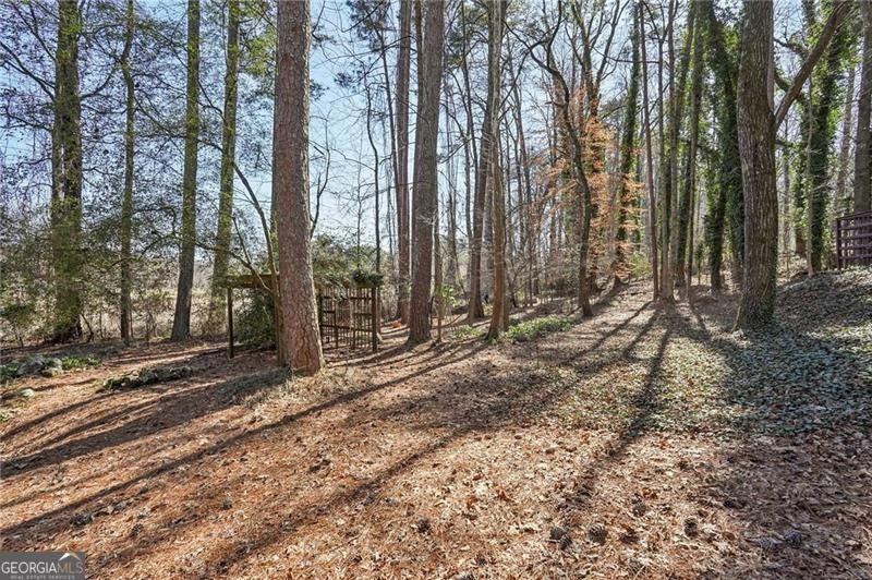 317 New Foal Lane Kennesaw - Photo 52