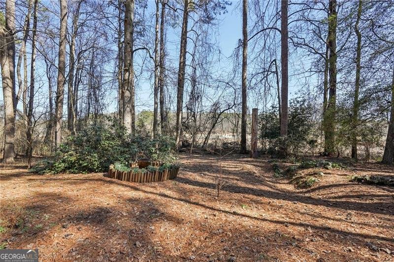 317 New Foal Lane Kennesaw - Photo 53