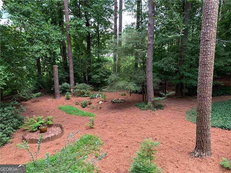 317 New Foal Lane Kennesaw - Photo 61