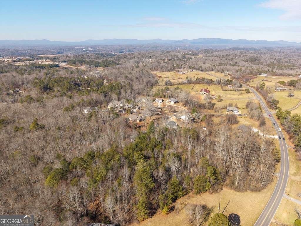 2164 Yukon Road Ellijay - Photo 18