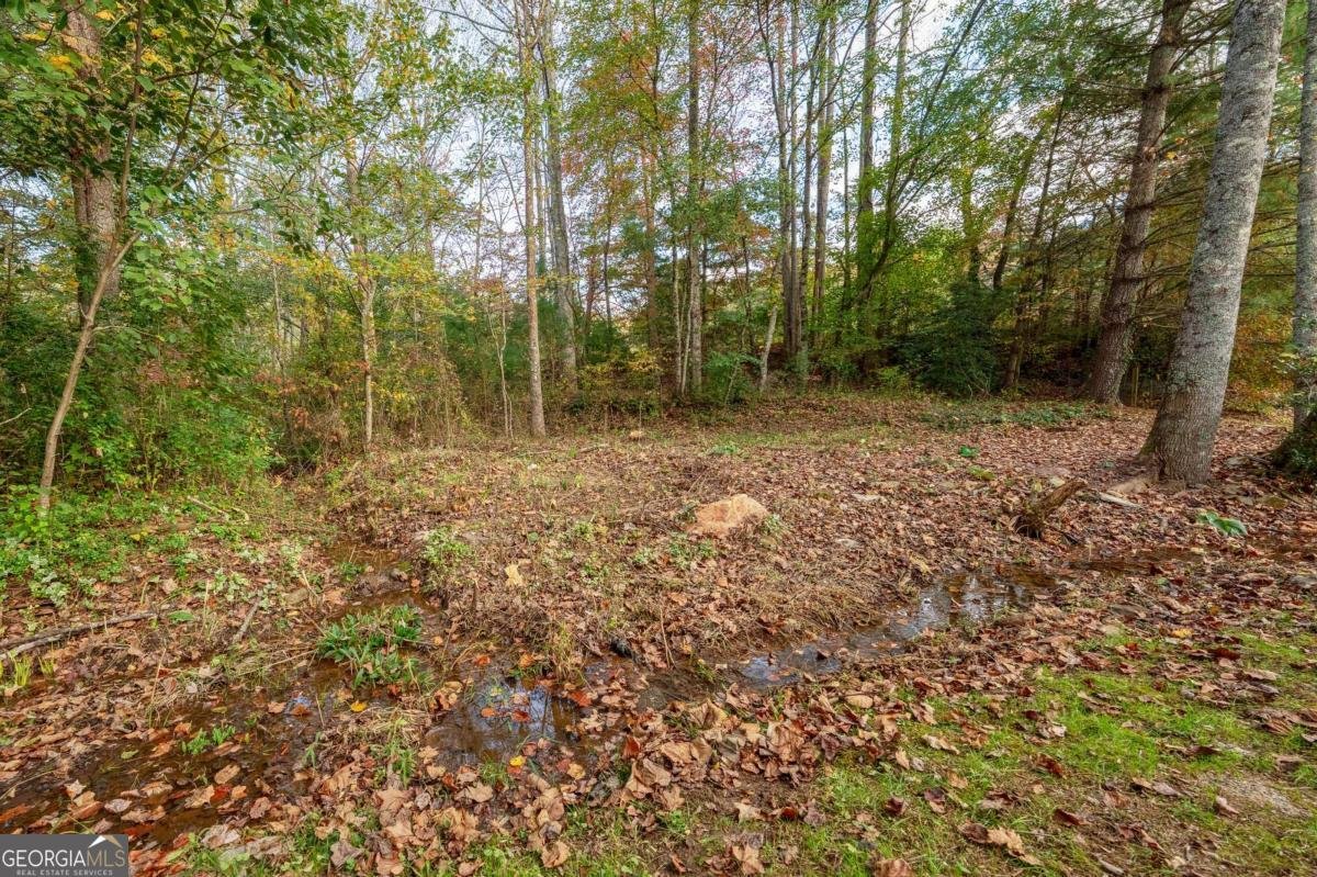 114 Bear Bend Blairsville - Photo 7