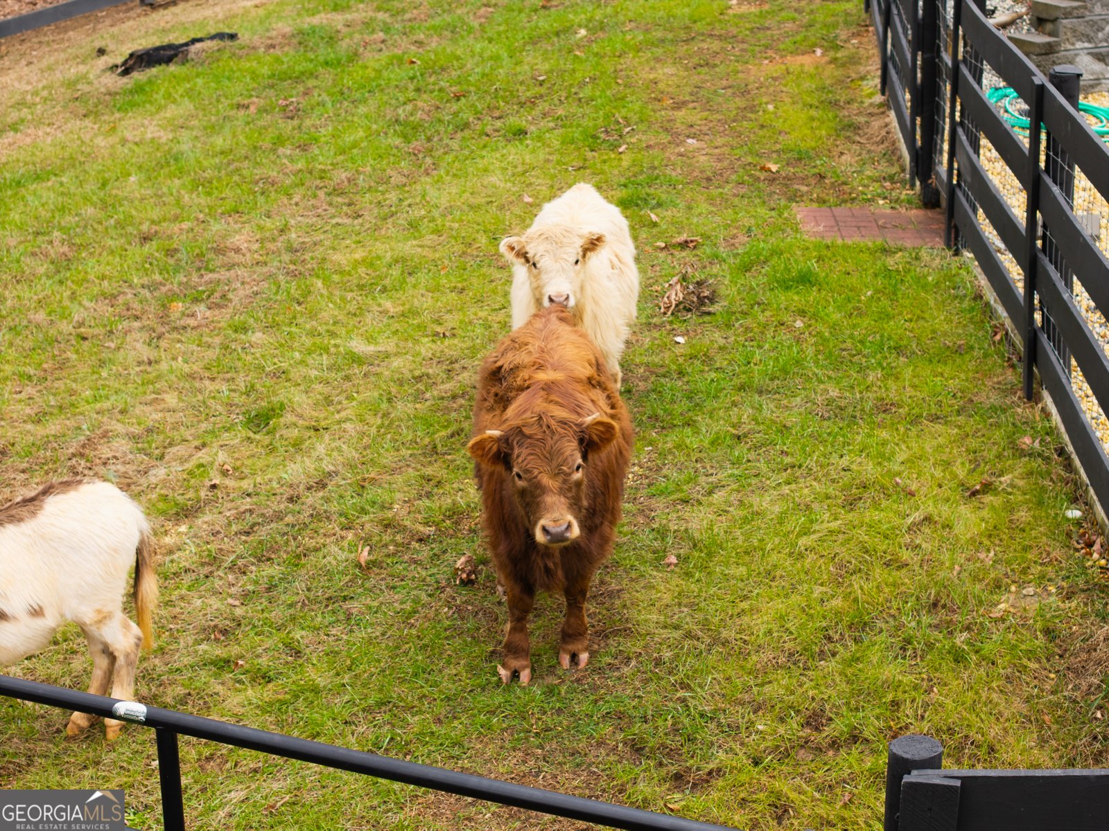 6008 Serene Circle Gainesville - Photo 50