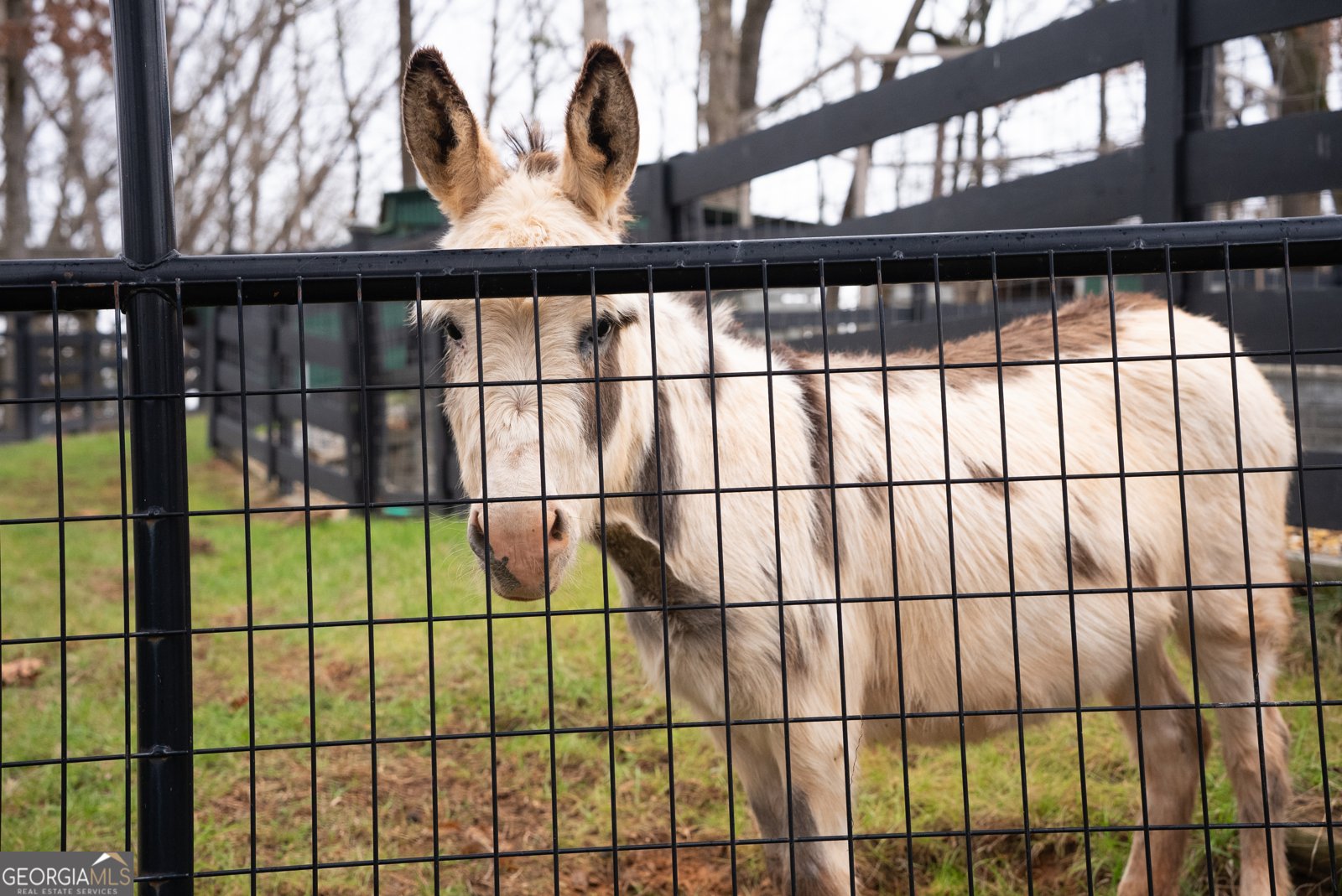 6008 Serene Circle Gainesville - Photo 51