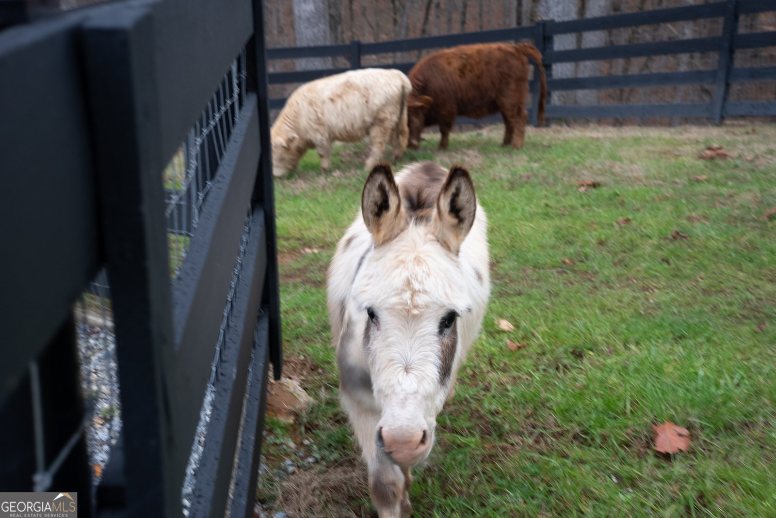 6008 Serene Circle Gainesville - Photo 53