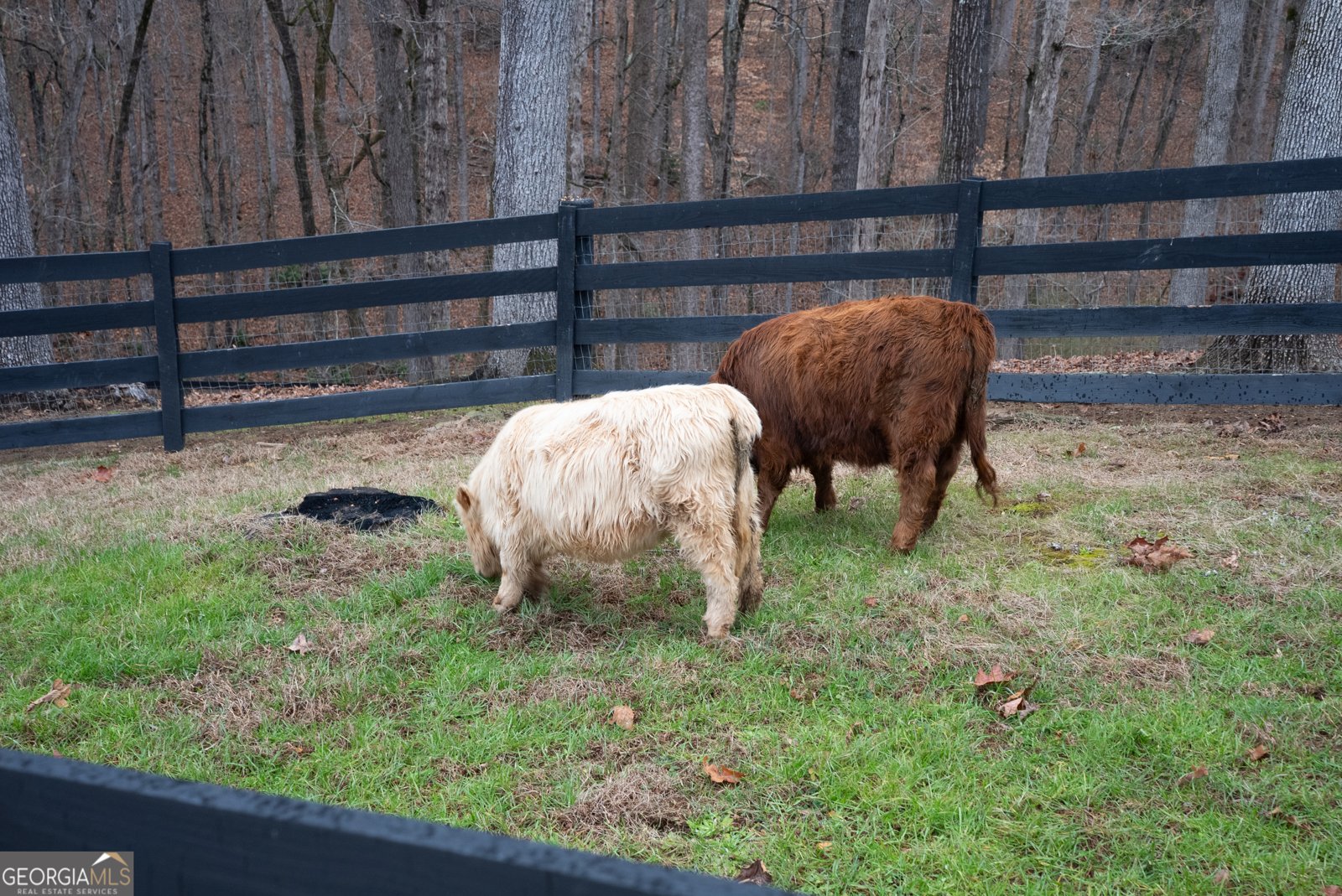 6008 Serene Circle Gainesville - Photo 54