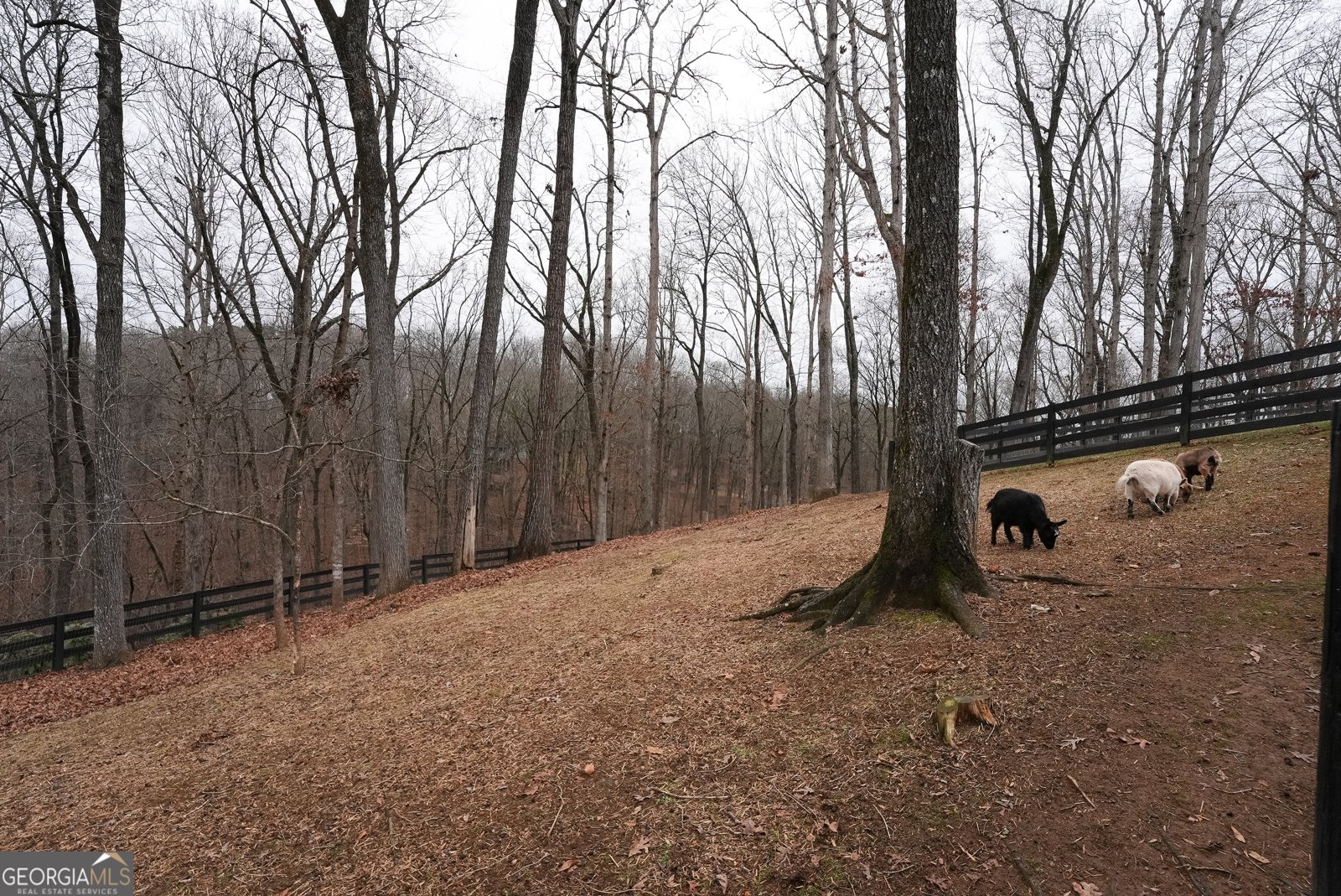 6008 Serene Circle Gainesville - Photo 55