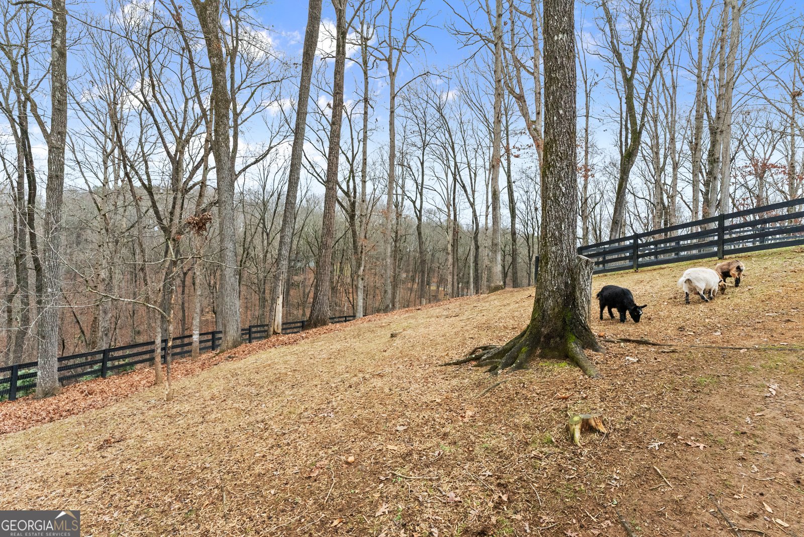 6008 Serene Circle Gainesville - Photo 56