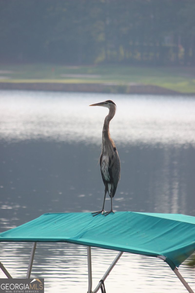 6425 Spinnaker Lane Alpharetta - Photo 39