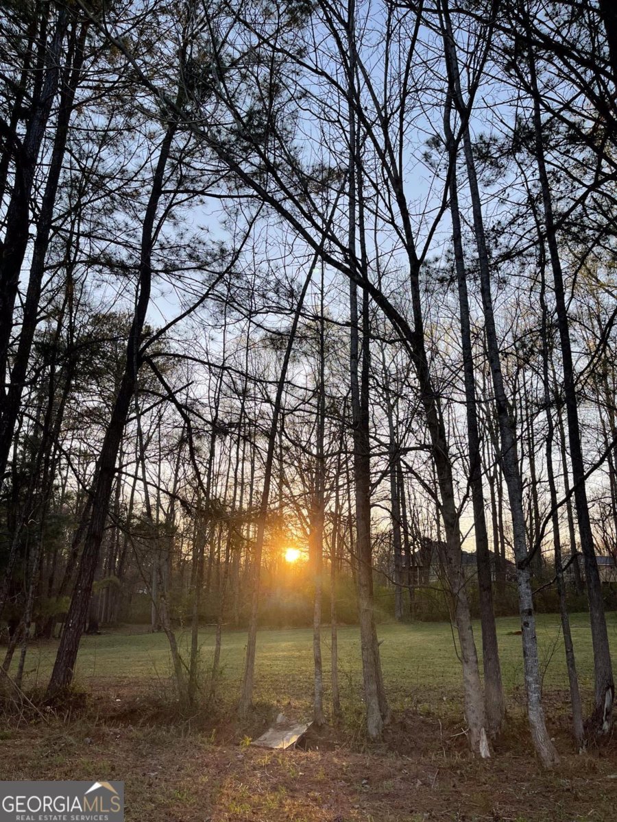 71 Mcguire Road Dallas - Photo 11