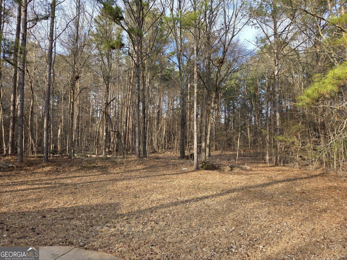 100 Willow Shoals Drive Covington - Photo 15