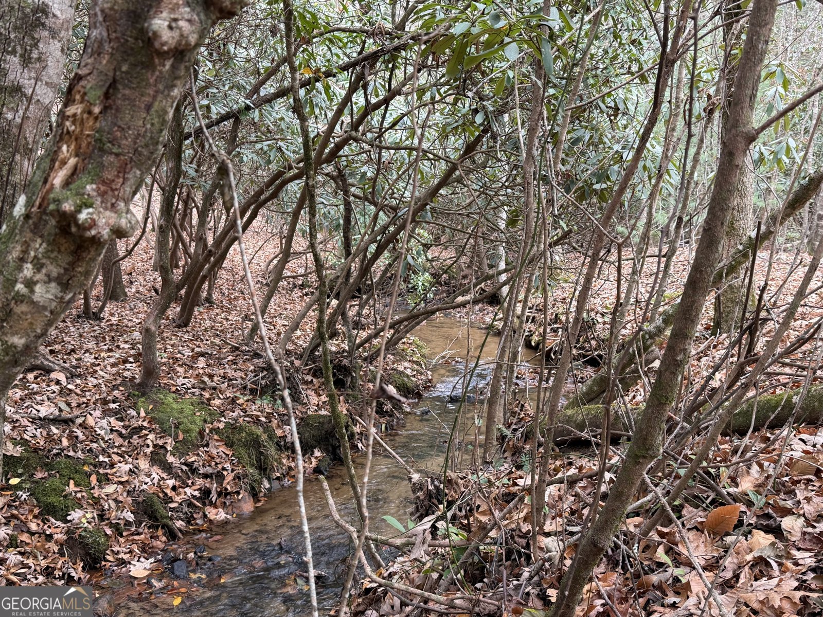 691 Mitchell Branch Road Morganton - Photo 76