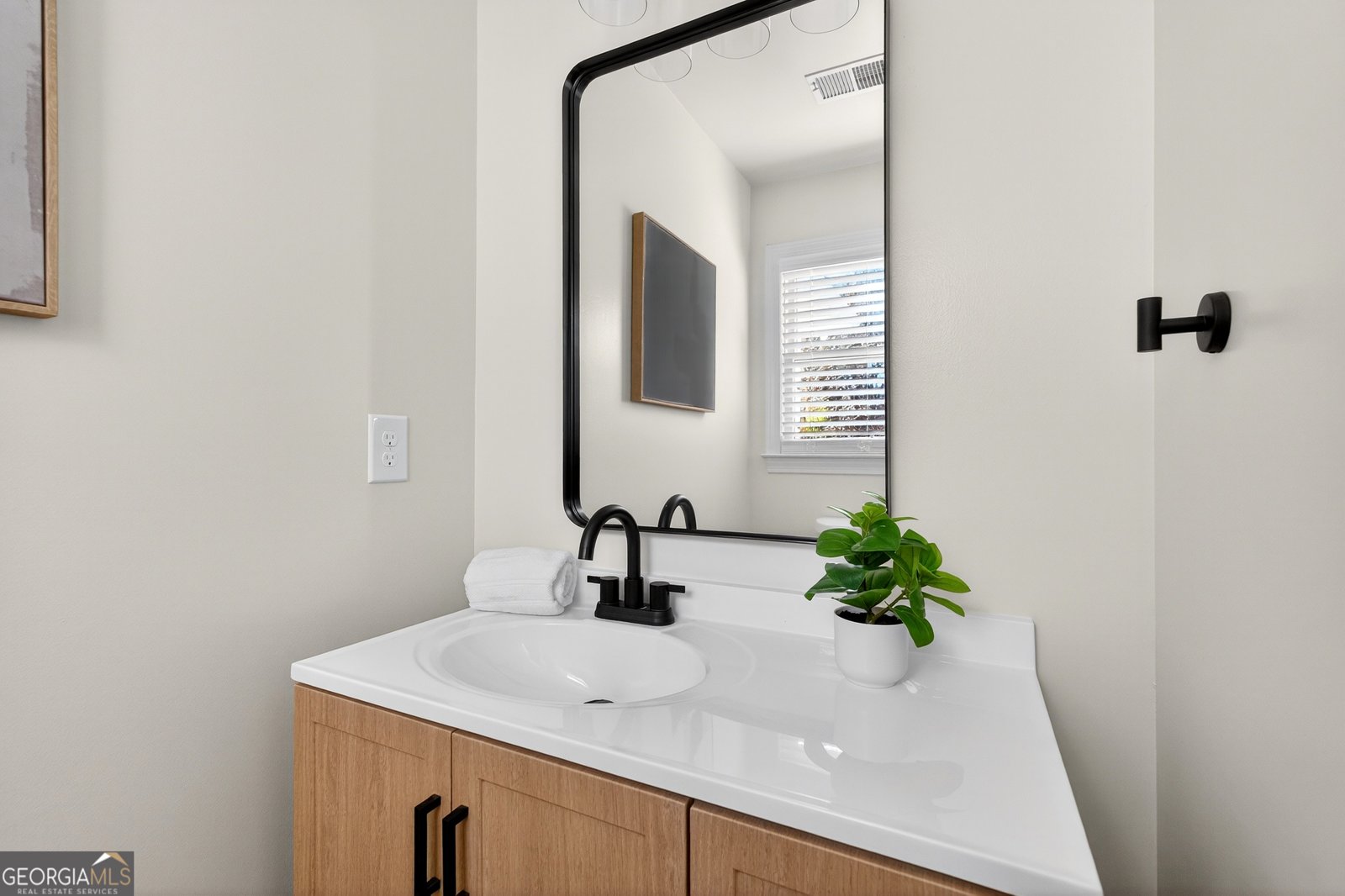 260 Chimney Springs Road Tyrone - Photo 11