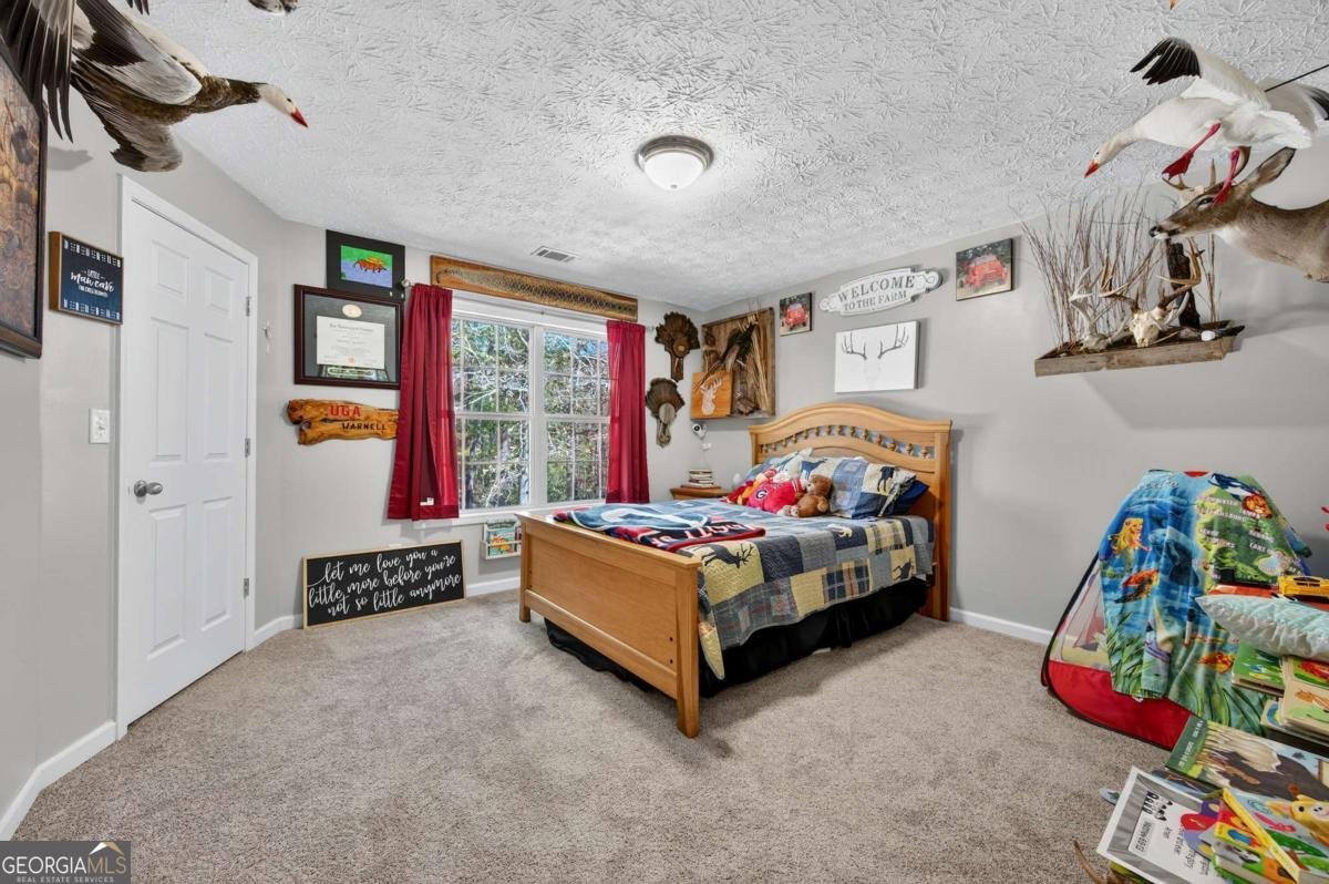 1453 Solomon Drive Winder - Photo 26