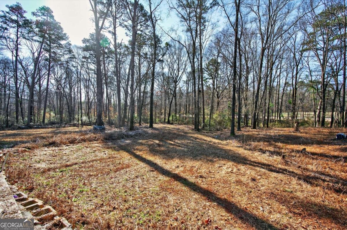 1453 Solomon Drive Winder - Photo 34