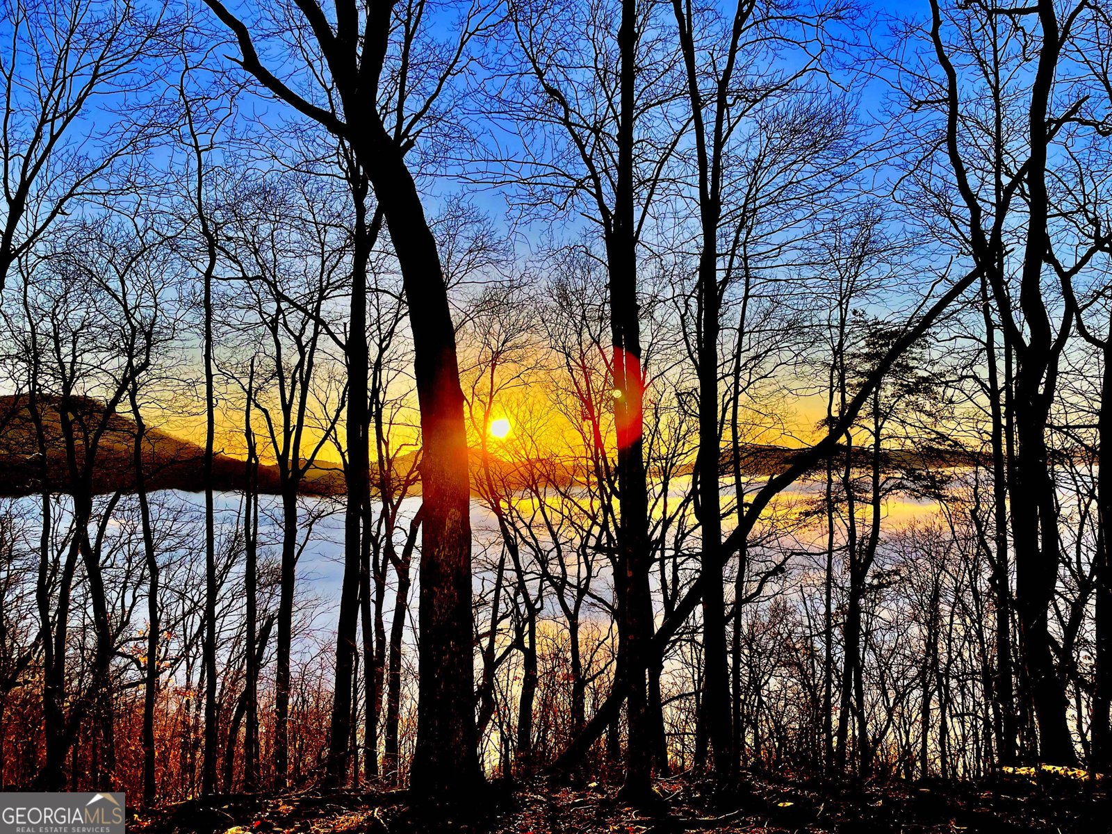 377 Charmont Drive Tiger - Photo 56