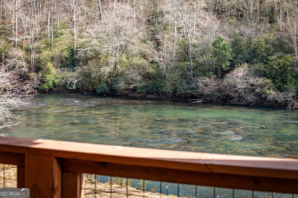 494 Riverbend Manor Blue Ridge - Photo 68