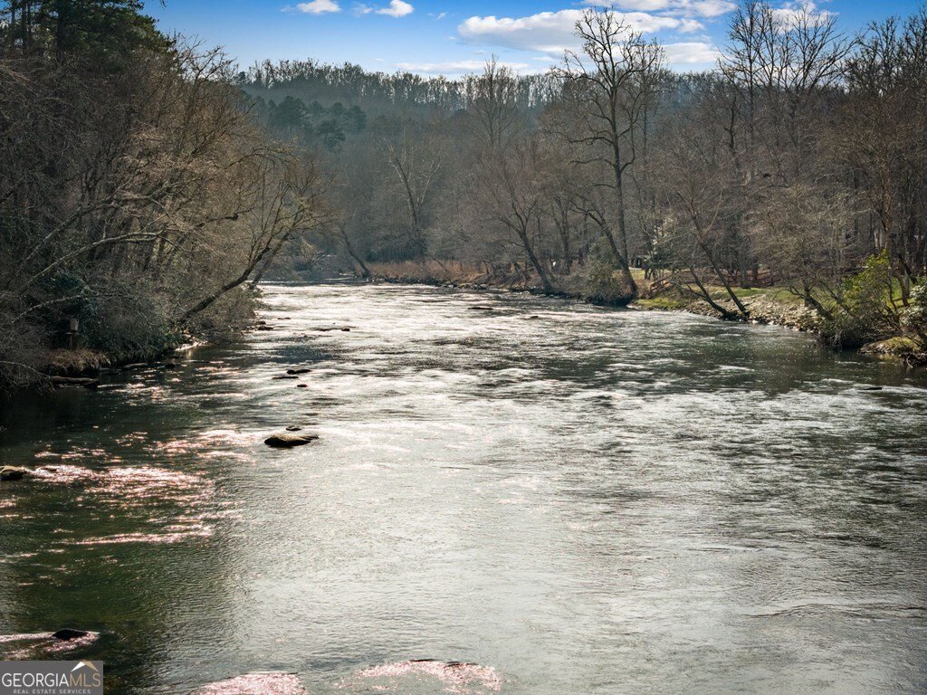494 Riverbend Manor Blue Ridge - Photo 96