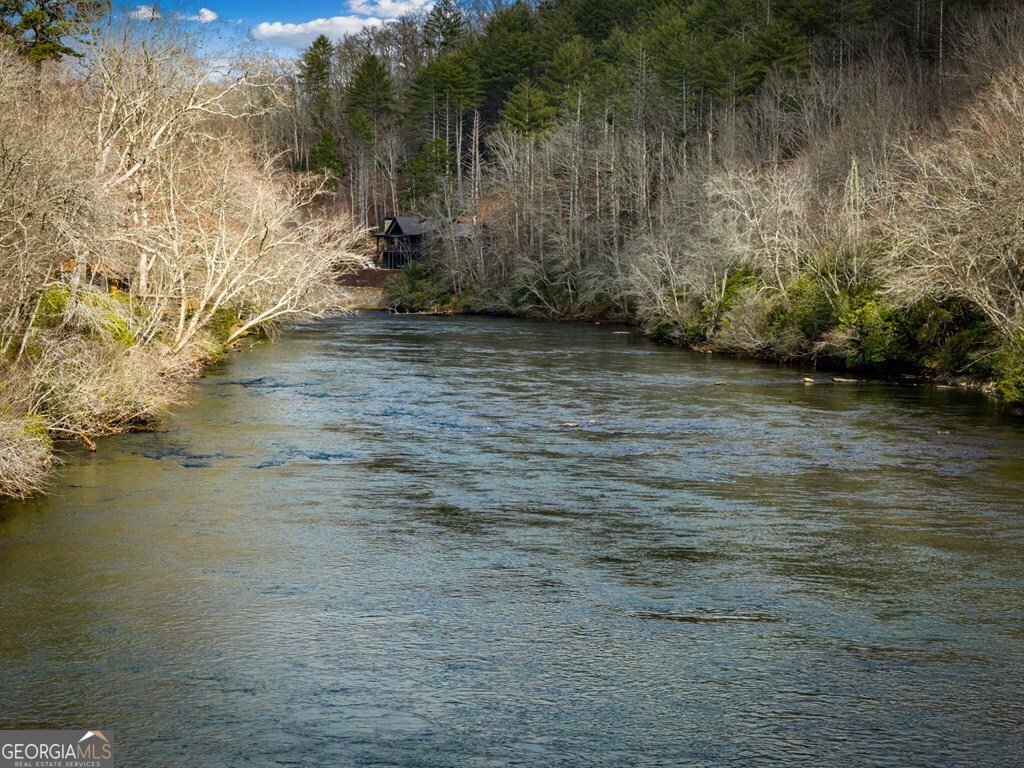 494 Riverbend Manor Blue Ridge - Photo 97