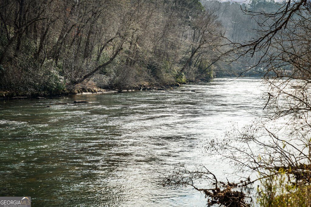 494 Riverbend Manor Blue Ridge - Photo 98