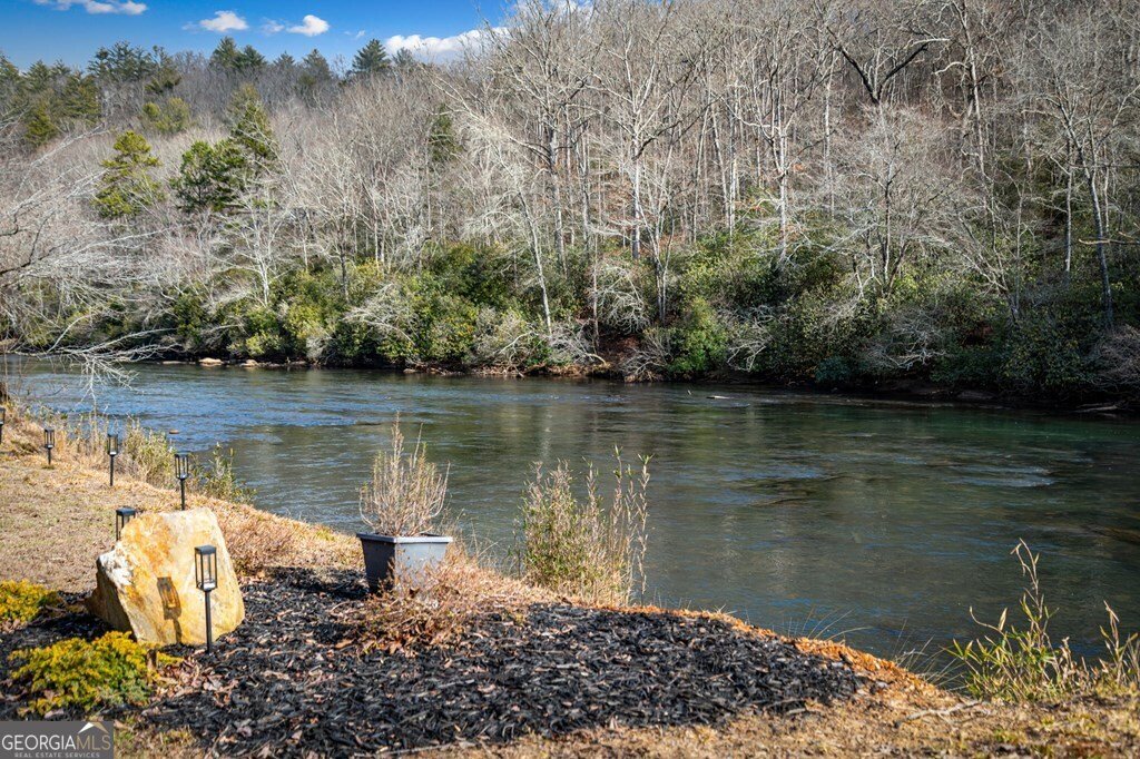 494 Riverbend Manor Blue Ridge - Photo 99
