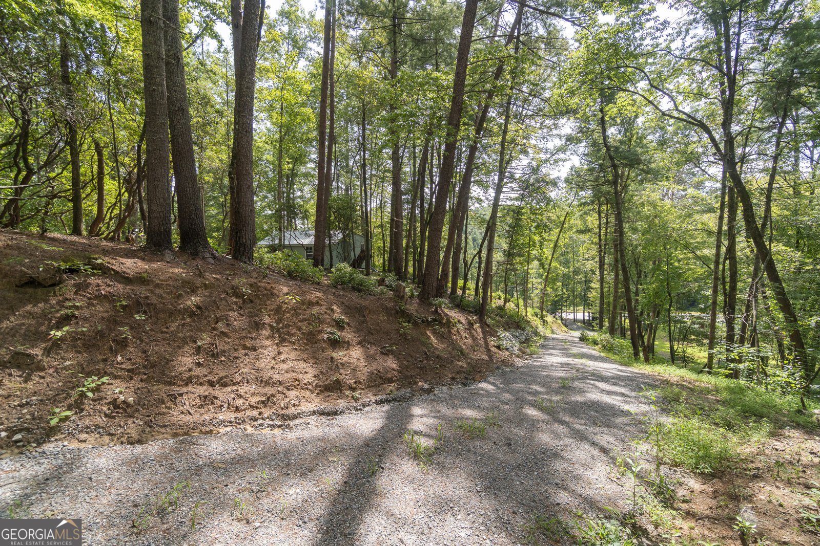 7869 Highway 75 Alt Helen - Photo 61