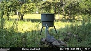 7596 Red Bud Ranger - Photo 26