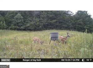 7596 Red Bud Ranger - Photo 27