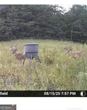 7596 Red Bud Ranger - Photo 28