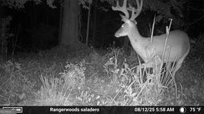 7596 Red Bud Ranger - Photo 29