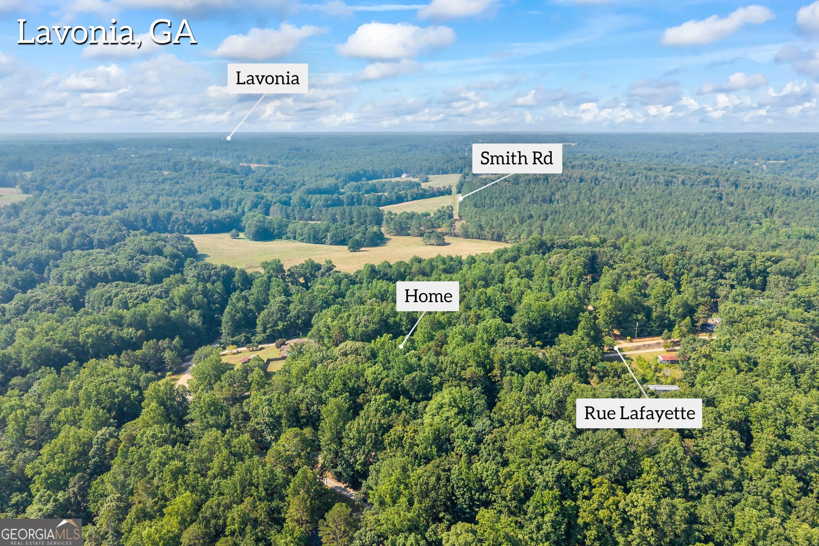 148 Rue Lafayette Lavonia - Photo 16