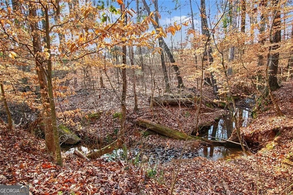 959 Old Forge Lane Jefferson - Photo 36