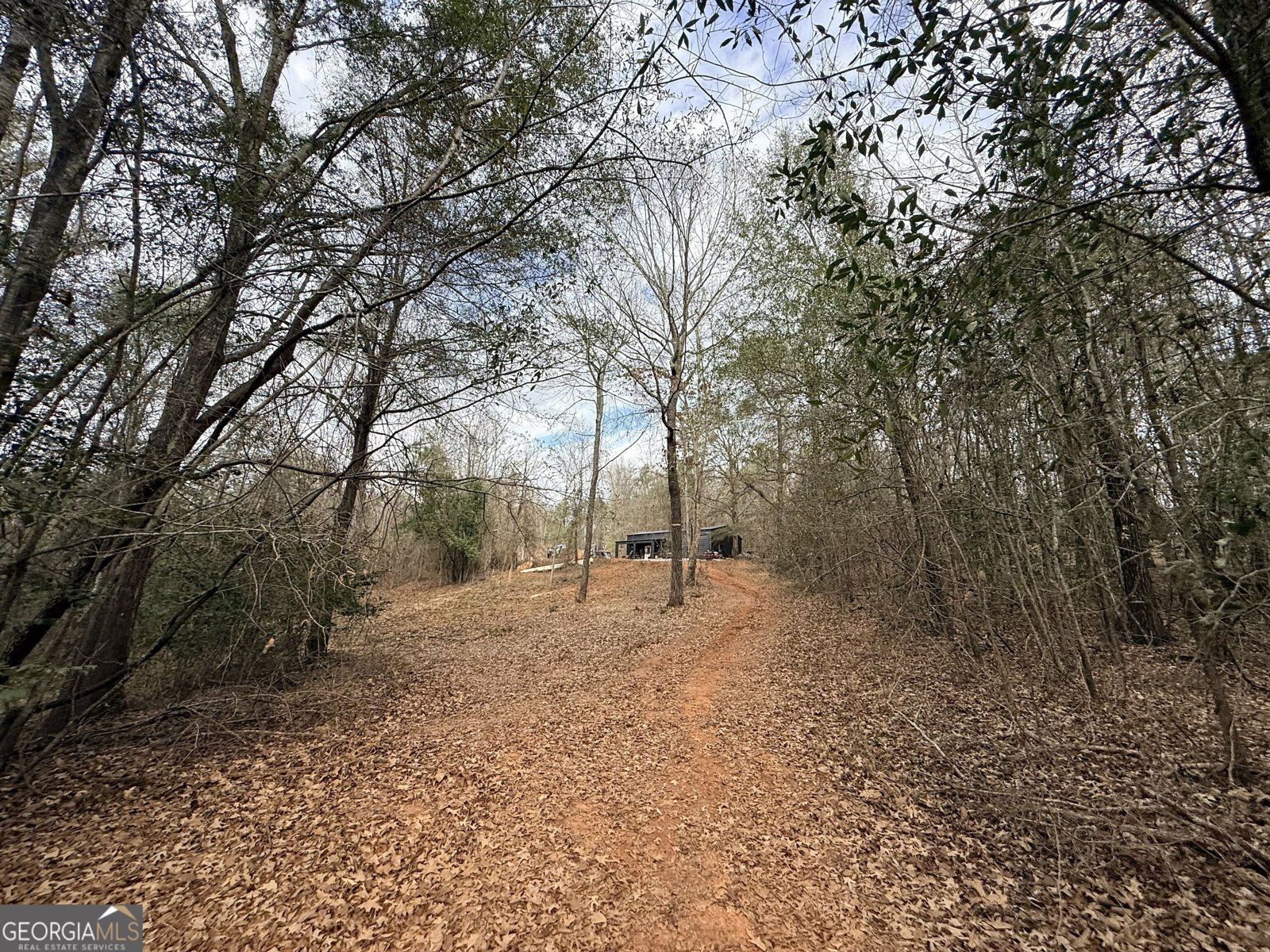 301 Beaver Dam Road Toomsboro - Photo 50