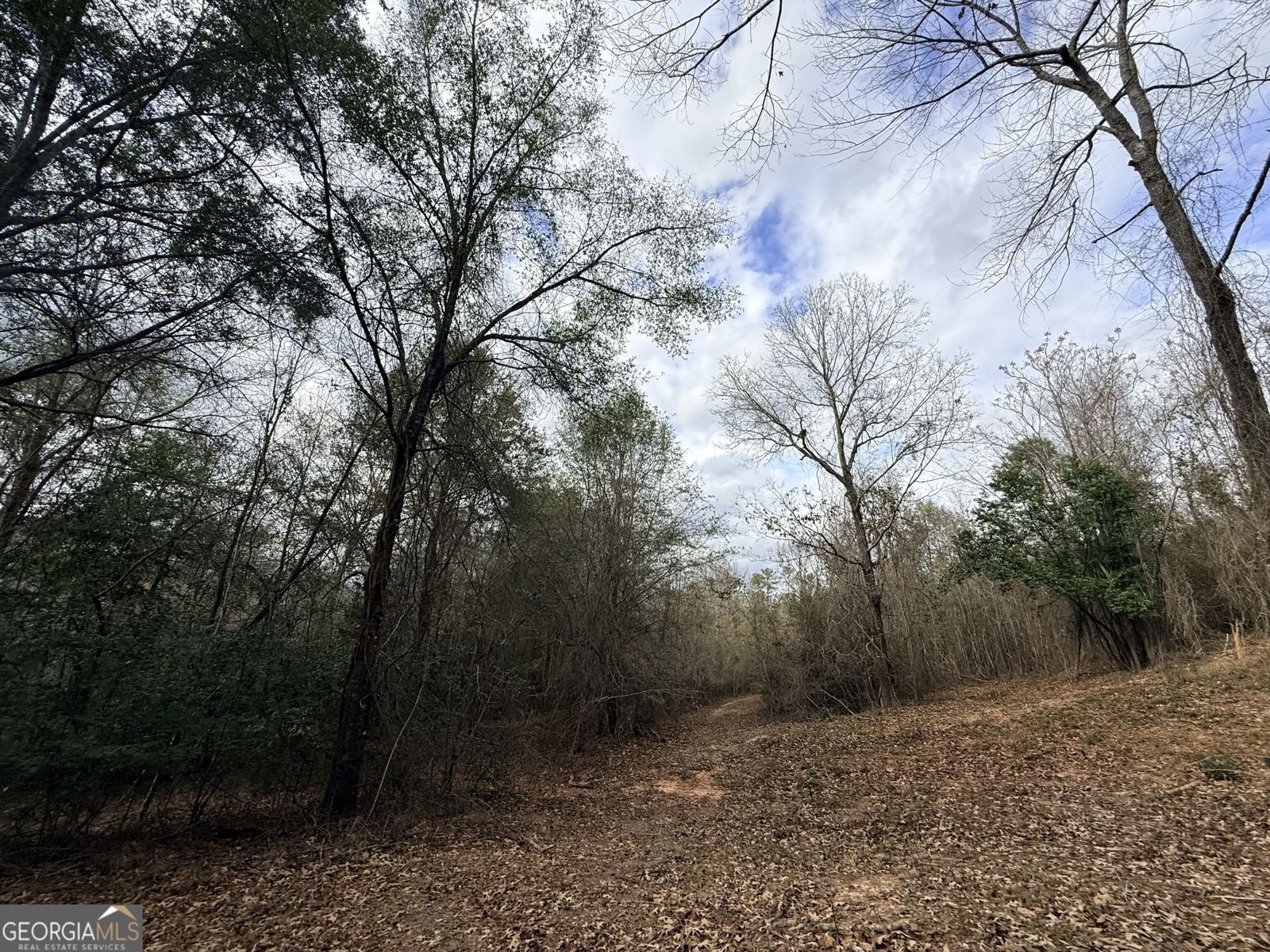 301 Beaver Dam Road Toomsboro - Photo 51