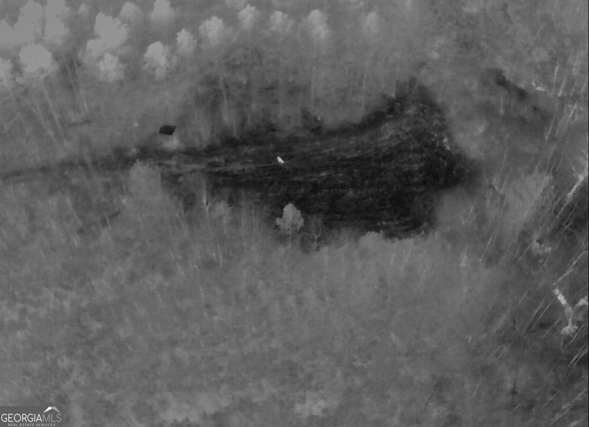 301 Beaver Dam Road Toomsboro - Photo 52