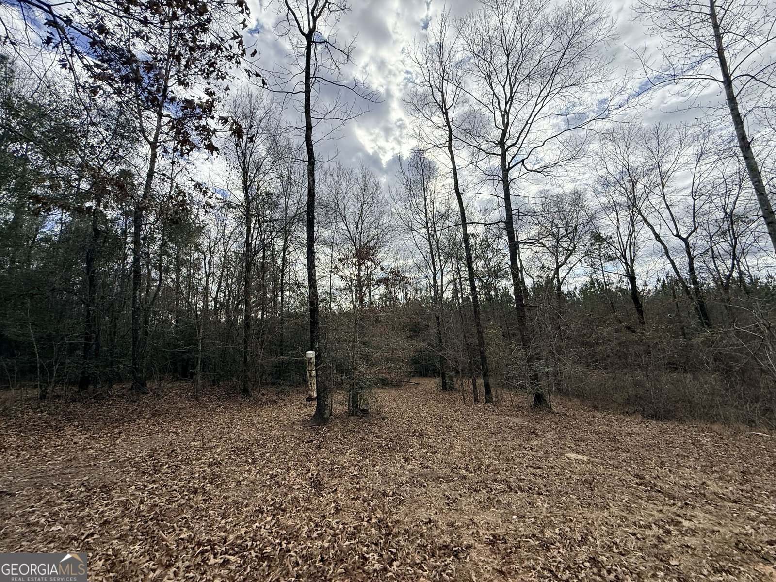 301 Beaver Dam Road Toomsboro - Photo 72