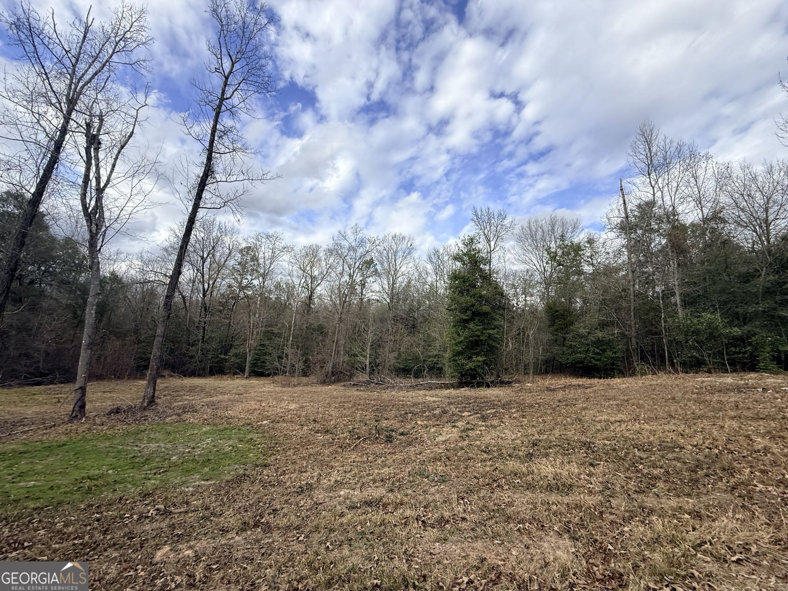 301 Beaver Dam Road Toomsboro - Photo 74