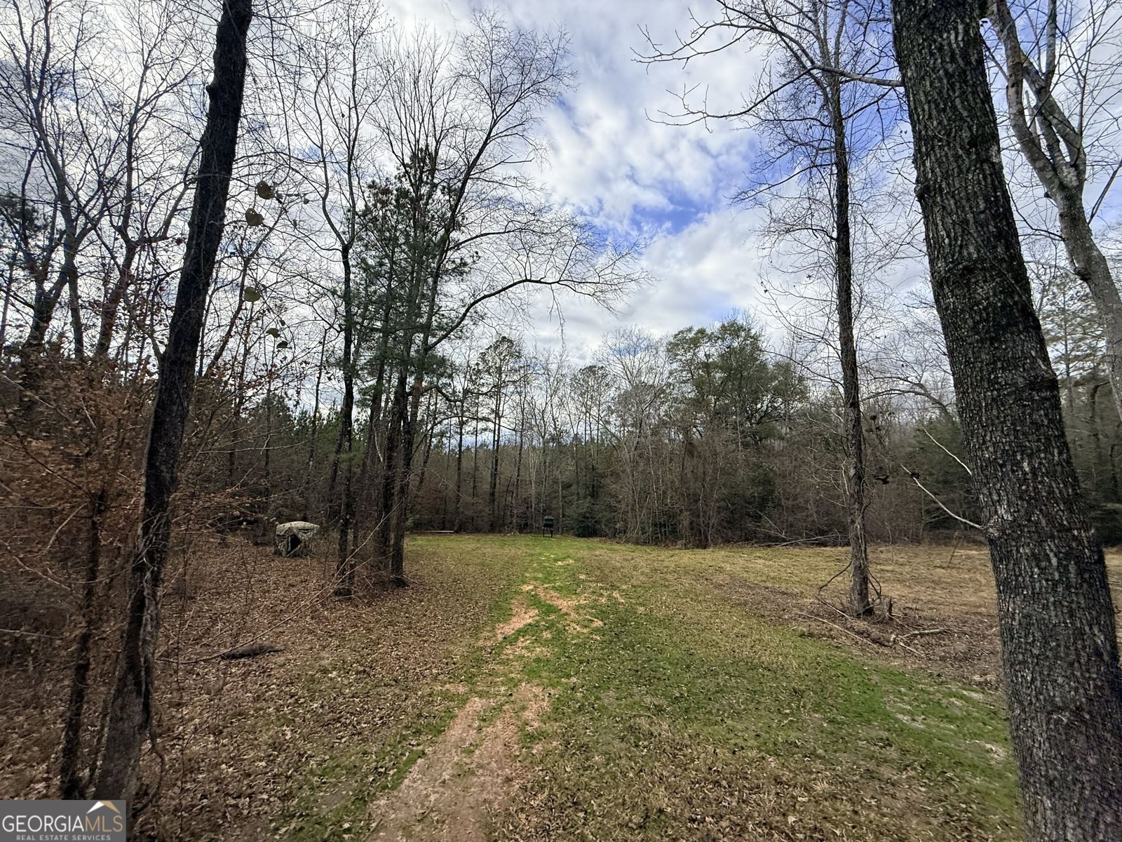 301 Beaver Dam Road Toomsboro - Photo 76