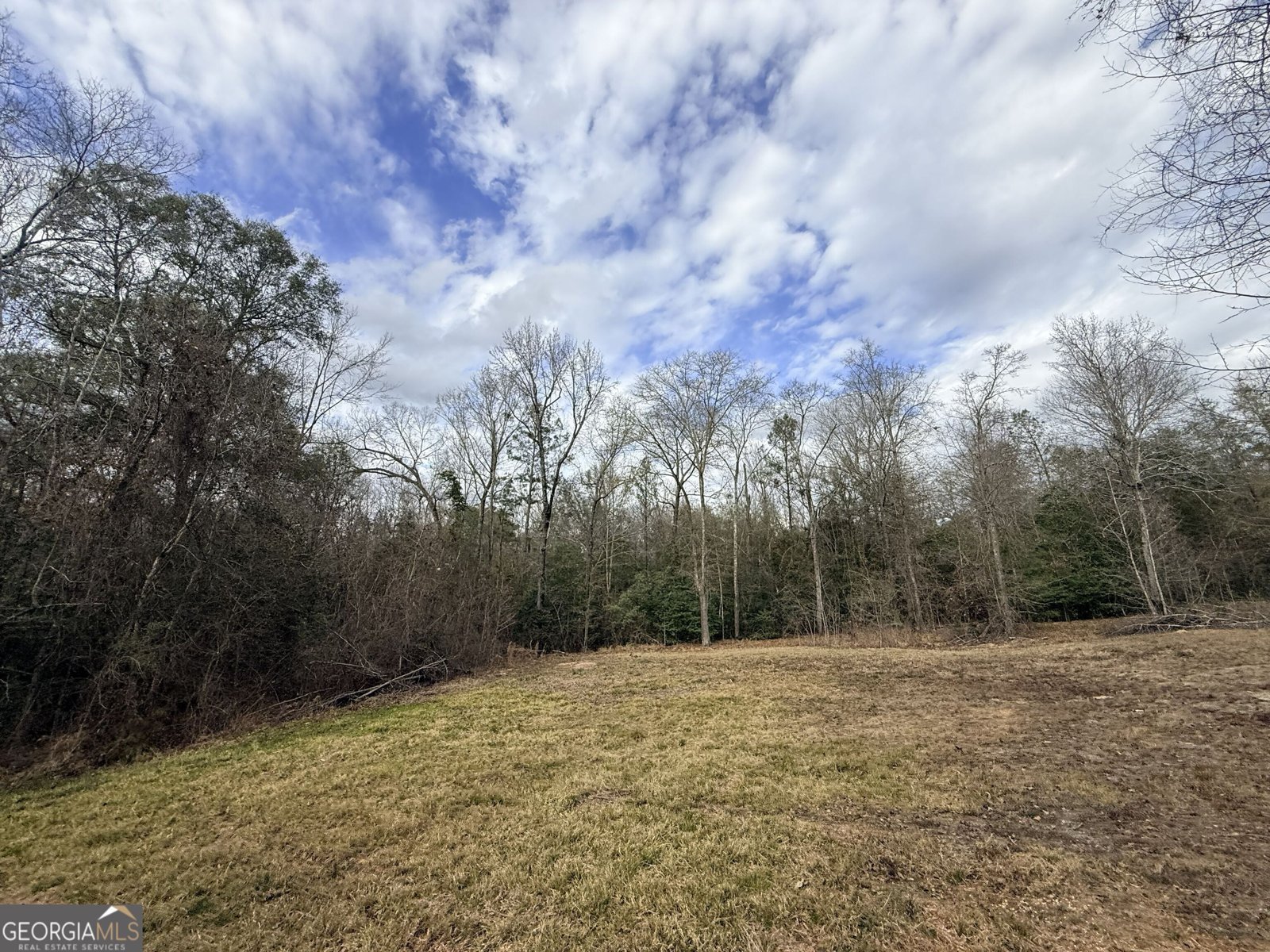 301 Beaver Dam Road Toomsboro - Photo 78