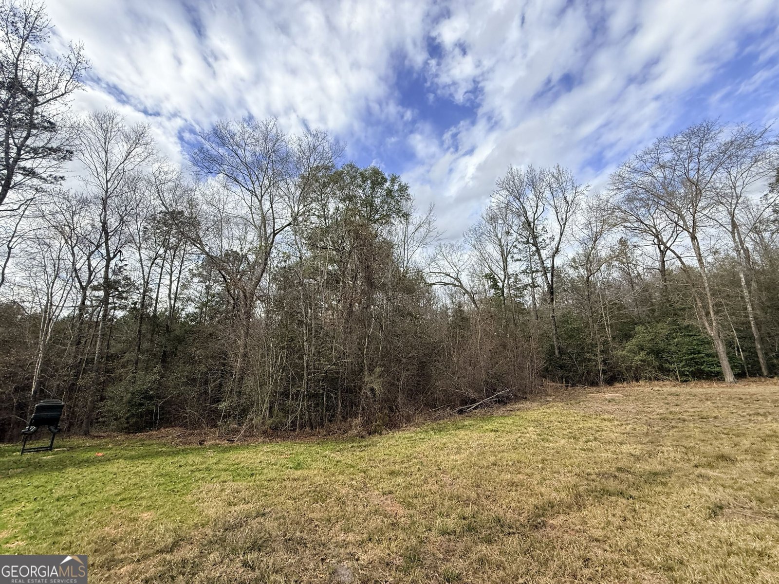 301 Beaver Dam Road Toomsboro - Photo 80