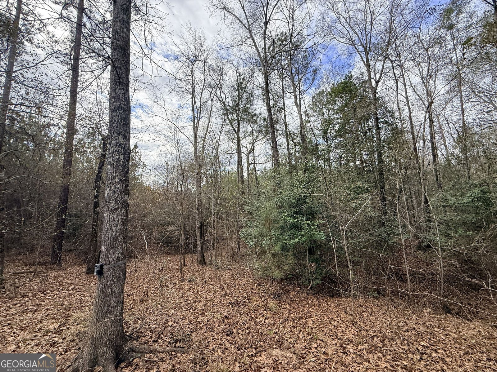 301 Beaver Dam Road Toomsboro - Photo 83