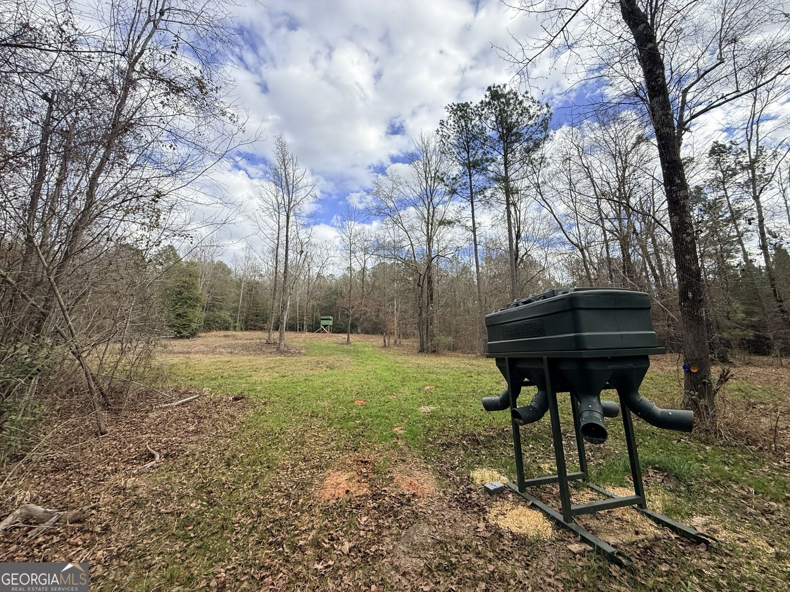 301 Beaver Dam Road Toomsboro - Photo 84