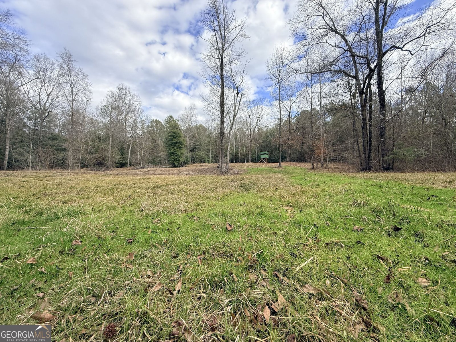 301 Beaver Dam Road Toomsboro - Photo 85