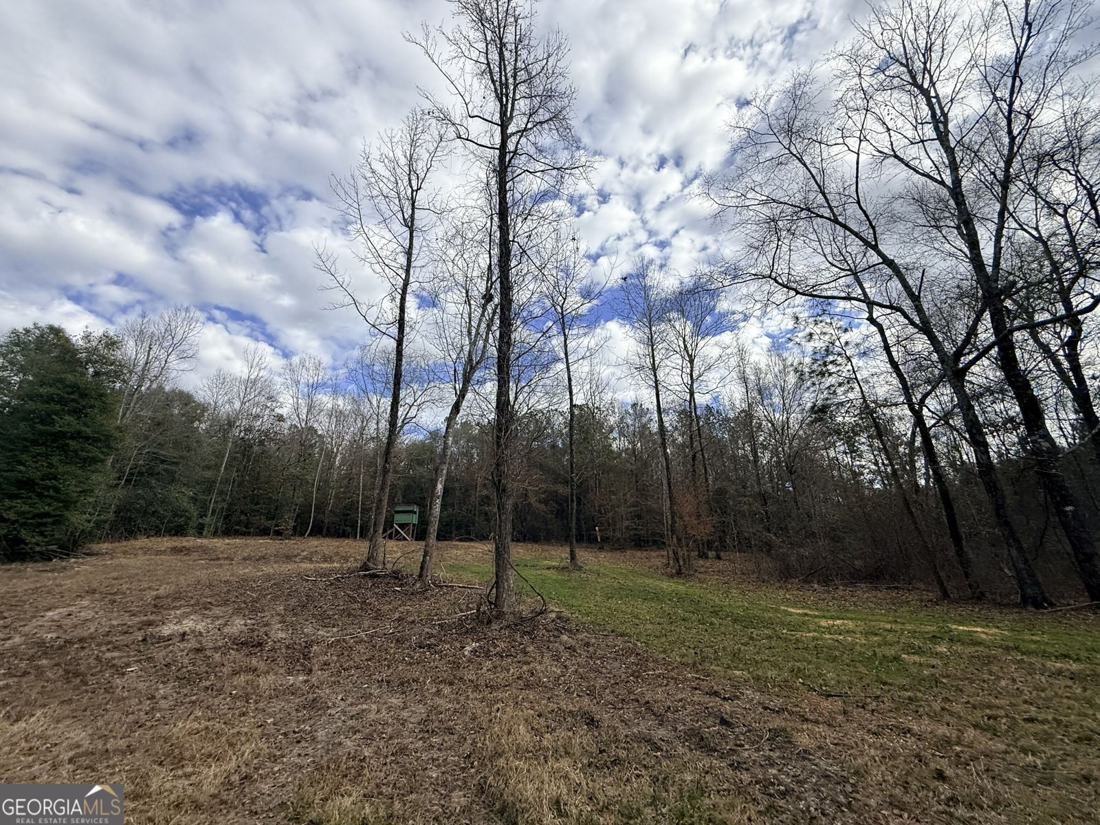 301 Beaver Dam Road Toomsboro - Photo 87