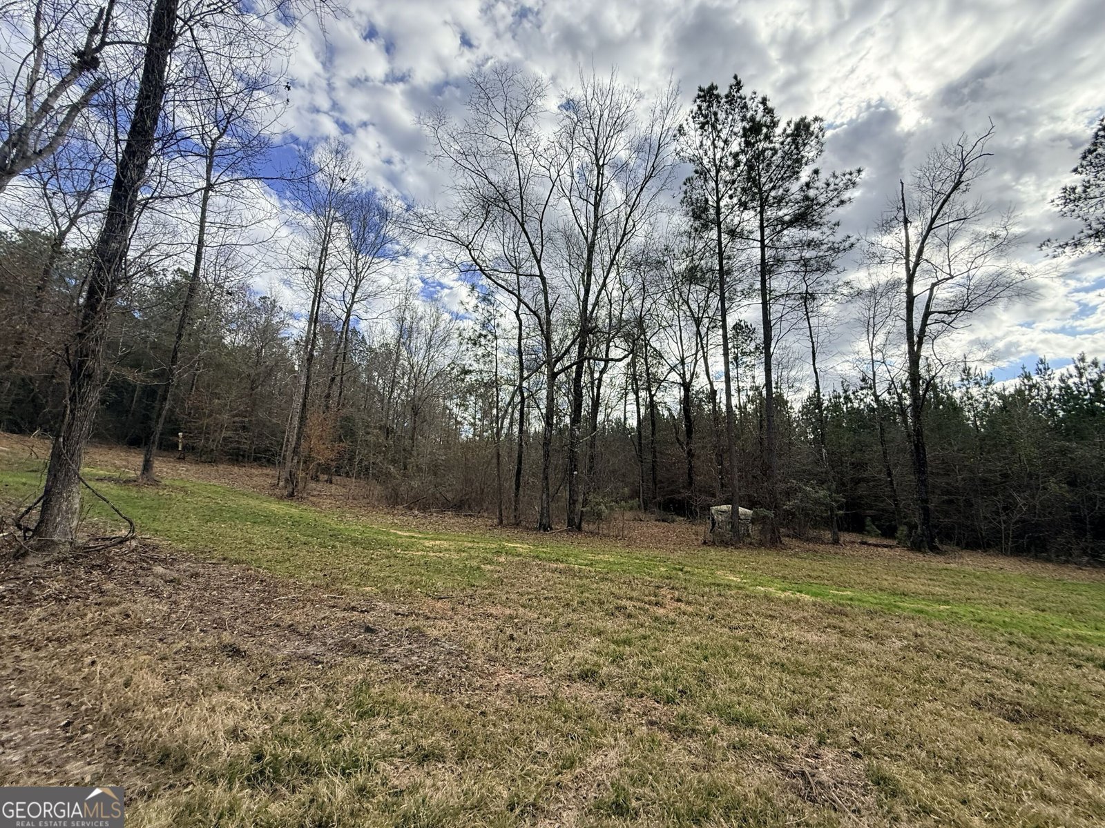 301 Beaver Dam Road Toomsboro - Photo 88