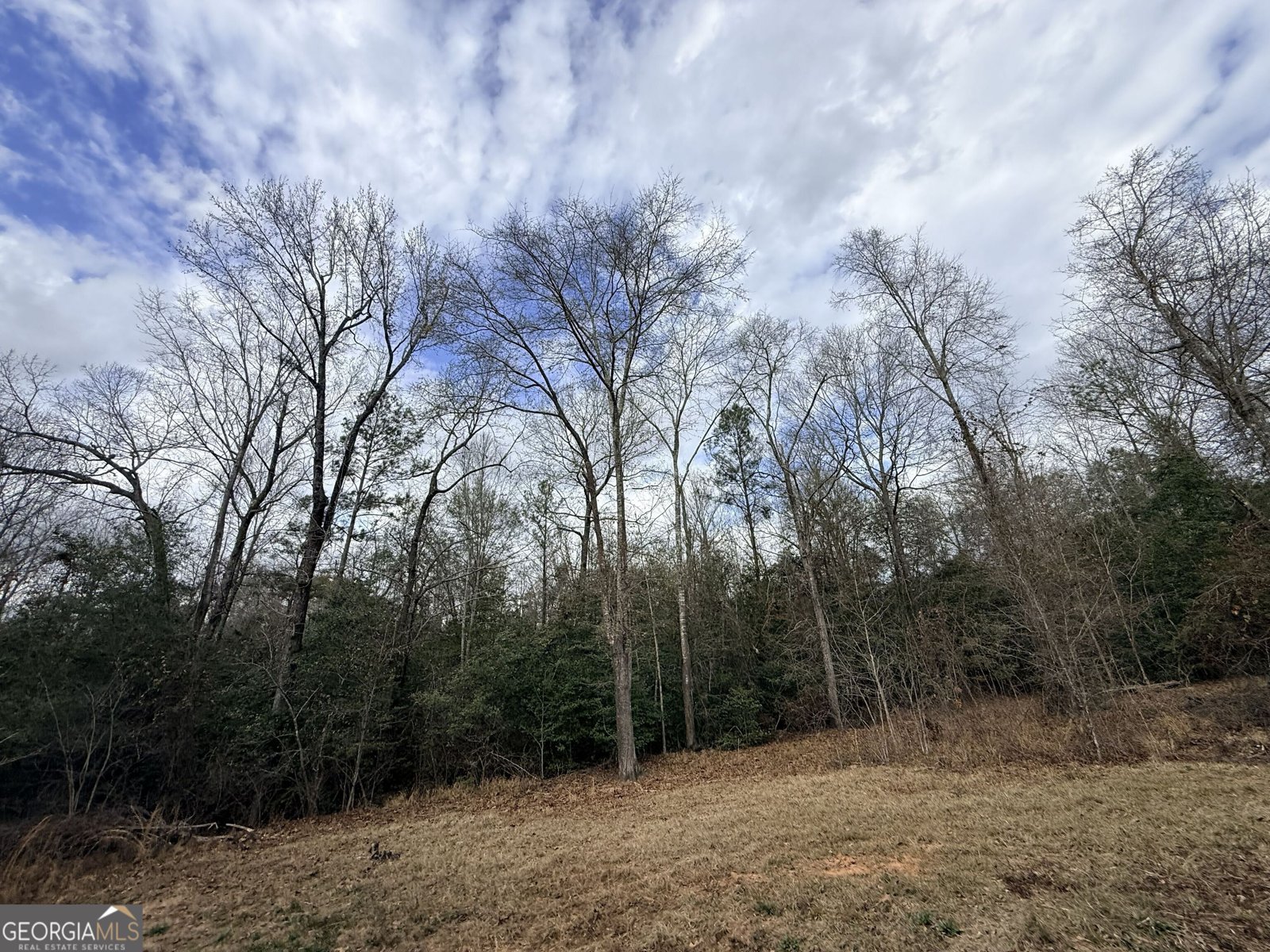 301 Beaver Dam Road Toomsboro - Photo 89