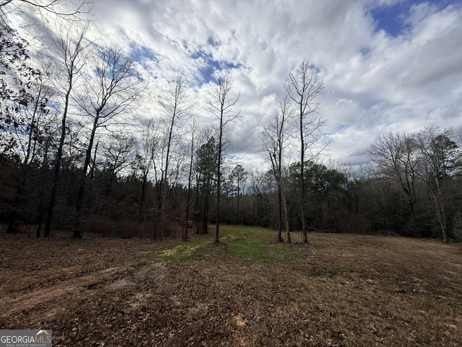 301 Beaver Dam Road Toomsboro - Photo 91