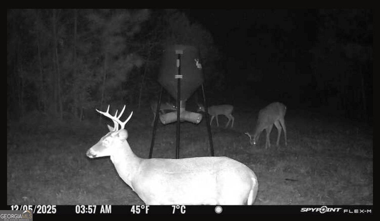 301 Beaver Dam Road Toomsboro - Photo 92