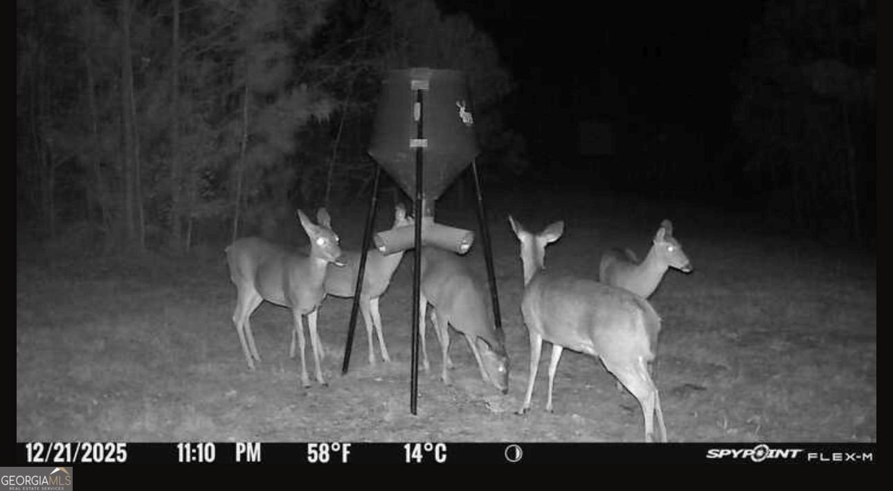 301 Beaver Dam Road Toomsboro - Photo 94