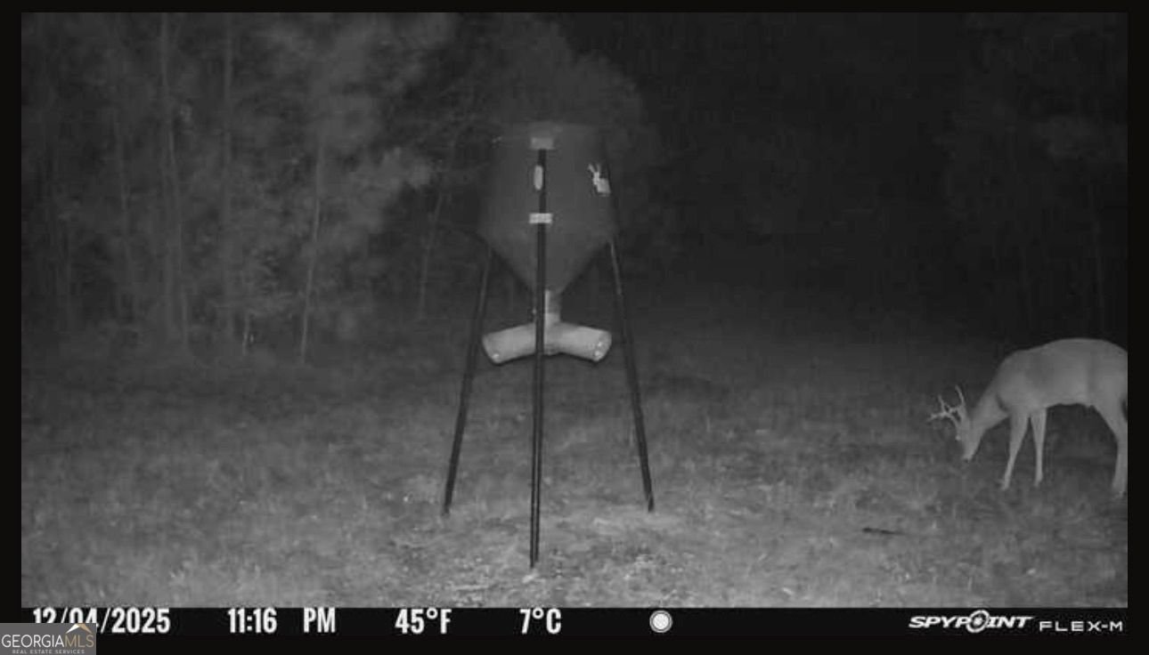 301 Beaver Dam Road Toomsboro - Photo 97